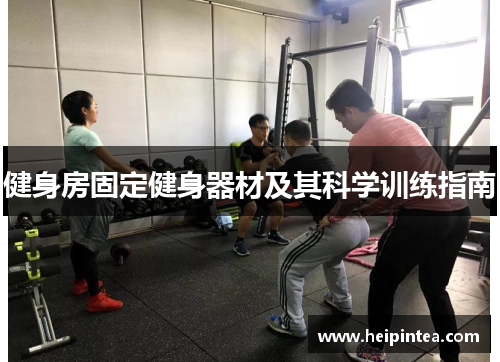 健身房固定健身器材及其科学训练指南