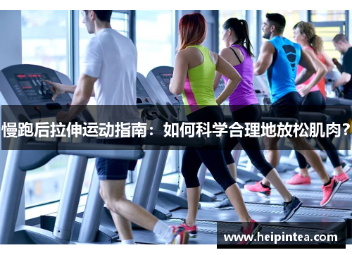 慢跑后拉伸运动指南:如何科学合理地放松肌肉?