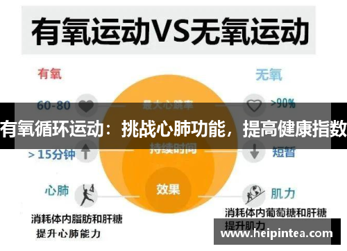 有氧循环运动:挑战心肺功能,提高健康指数