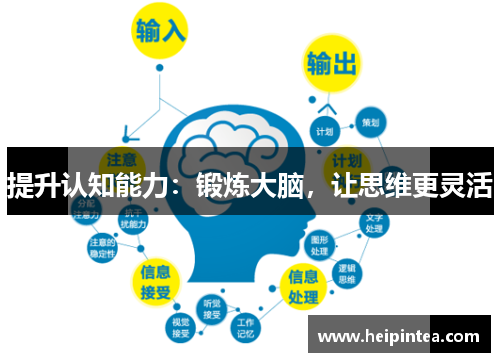 提升认知能力:锻炼大脑,让思维更灵活