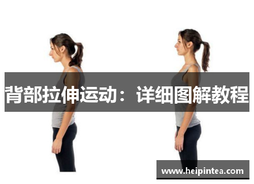 背部拉伸运动:详细图解教程