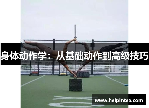 身体动作学:从基础动作到高级技巧