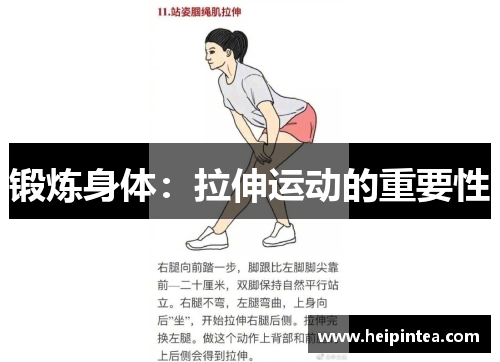 锻炼身体:拉伸运动的重要性